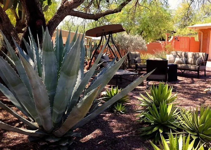 Saguaro Family Oasis - Pool, Hot Tub, Privacy Acre Holiday home *